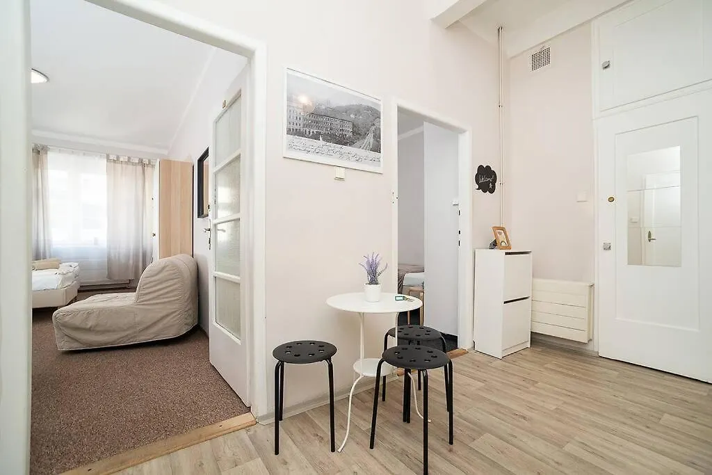 Apartment In Zizkov -202- Prague