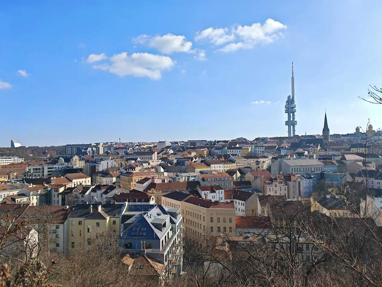 Apartment In Zizkov -202- Prague