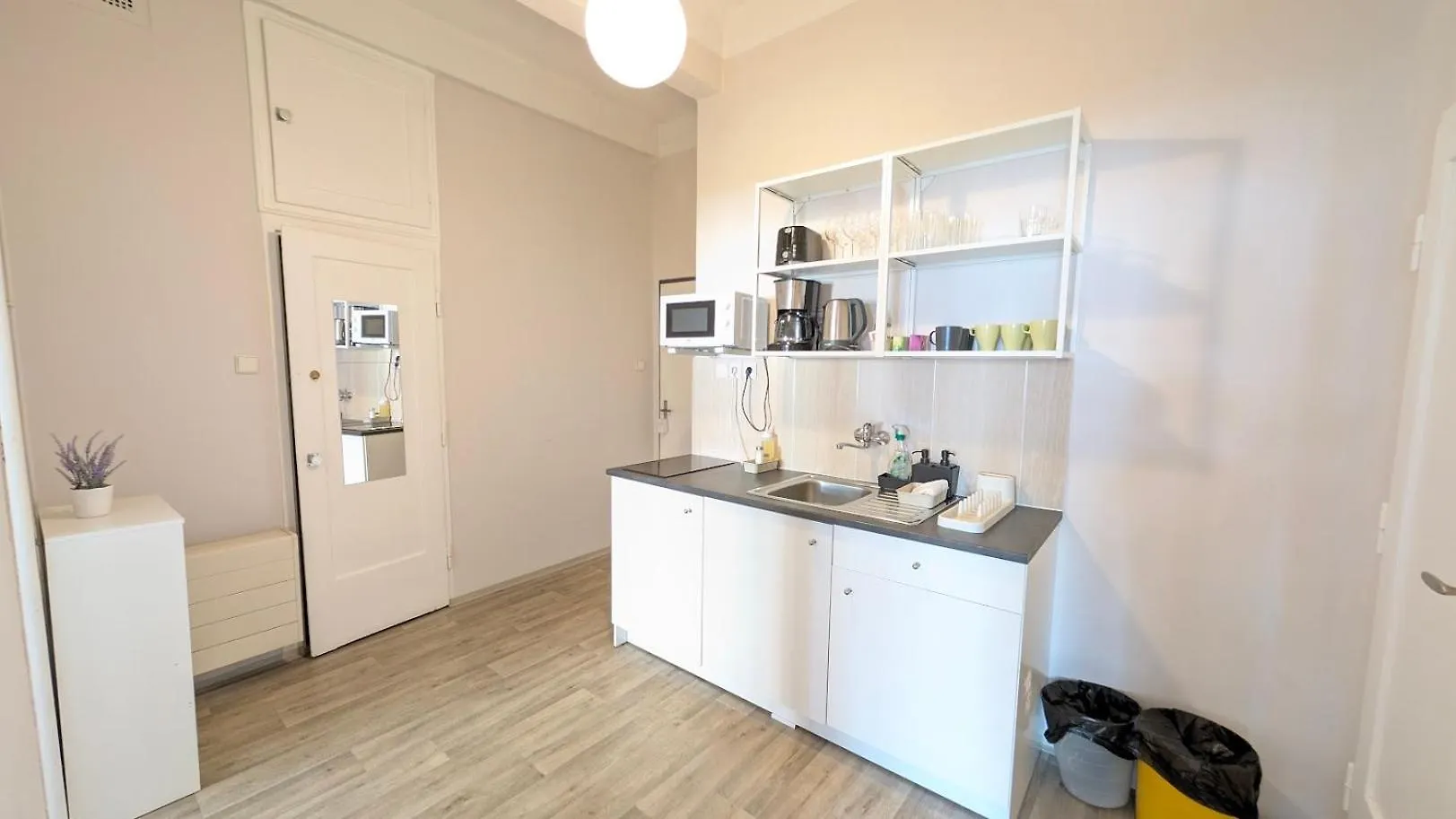 Apartment In Zizkov -202- 布拉格 0*,